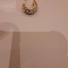 Jewelry & Earring, as reported by Van der Valk Hotel Schiphol using iLost
