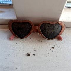 Zonnebril, amint azt DierenPark Amersfoort az iLost segítségével jelentette.