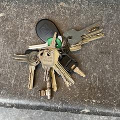 Grote sleutelbos, as reported to iLost