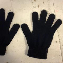 Kesztyű Zwart, amint azt Artis az iLost segítségével jelentette.