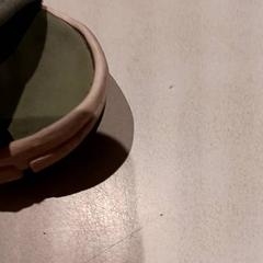Zapato, ha sido reportado por De Efteling con iLost