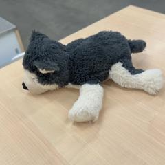 Knuffel, as reported by IKEA Eindhoven using iLost