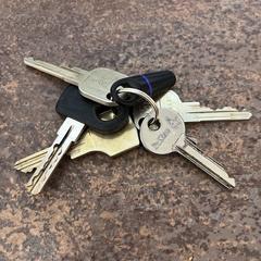 Sleutelbos, amint azt az iLostnak jelentették.