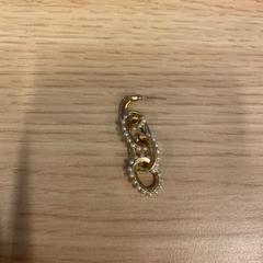 Oorbel, zoals gemeld door Feyenoord Rotterdam met iLost