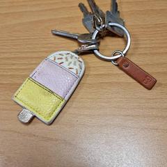 Sleutelbos, zoals gemeld door Gemeente Roermond met iLost