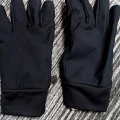 Hansker Zwart, som rapportert av Arriva Vechtdallijnen ved bruk av iLost