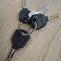 Kulcsok, amint azt EBS OV Poeldijk az iLost segítségével jelentette.