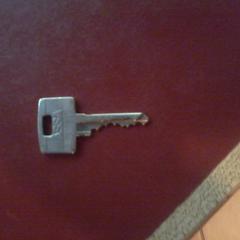 Sleutel, gemeldet von Apenheul über iLost