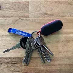 Sleutelbos, iLost'a bildirildiği gibi