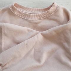 Tröja Roze, rapporterat av DierenPark Amersfoort med iLost