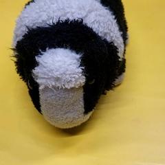 Knuffel, iLost를 사용하여 IKEA Delft에 보고됨