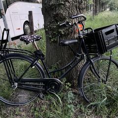 Damesfiets met 2 kinderzitjes، كما تم الإبلاغ عنه عبر iLost