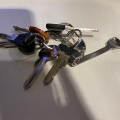 Klucze, zgłoszono przez Gemeente Amsterdam przy użyciu iLost