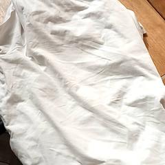 Camisa, segundo informou BOAT&CO usando iLost