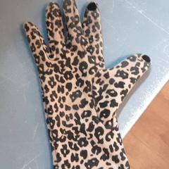 Gloves, as reported by Diergaarde Blijdorp using iLost