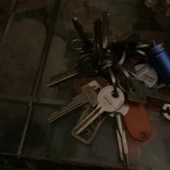 Sleutelbos met 10 sleutels oordopjes blauw, segons s'ha informat a iLost