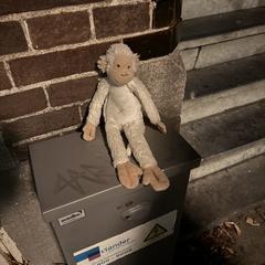 Aapje knuffel, som rapportert til iLost