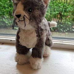 Kuscheltier Kat, gemeldet von DierenPark Amersfoort über iLost