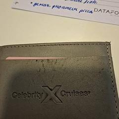 Map met passen met passen, zoals gemeld door RAI Amsterdam met iLost