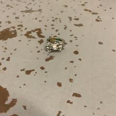 İLost kullanarak Artis tarafından bildirildiği gibi Küpe Zilver