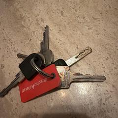 Bos sleutels, come riportato a iLost