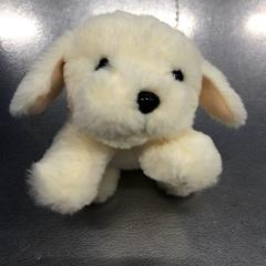 Xoguete de peluche, segundo informou IKEA仙台 usando iLost