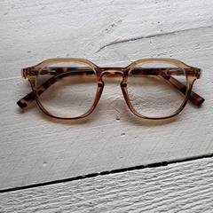 Gafas de lectura, ha sido reportado por DierenPark Amersfoort con iLost