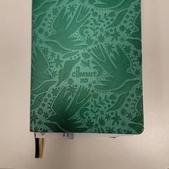 Agenda Verde 2025, as reported by IKEA Loulé using iLost