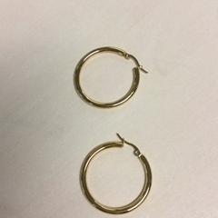 Earring, as reported by Haaglanden Medisch Centrum using iLost