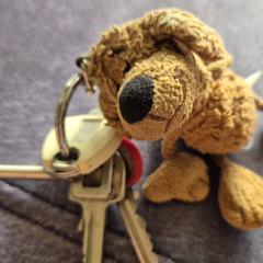 Sleutelbos met hondje eraan als sleutelhanger., iLost-i jakinarazi zaion moduan