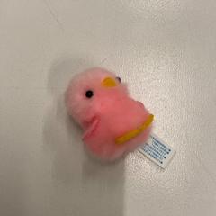 Kosete leke, som rapportert av IKEA神戸 ved bruk av iLost