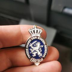 Steekpin brochepin tweede kamer, come riportato a iLost