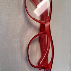 Ulleres, segons ha informat Connexxion Haarlem IJmond mitjançant iLost