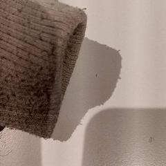 Jaqueta, segons ha informat De Efteling mitjançant iLost