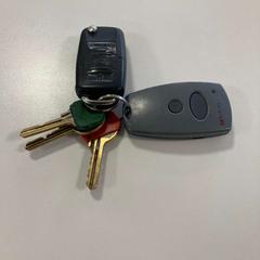 Car key, as reported by Gemeente Ede using iLost
