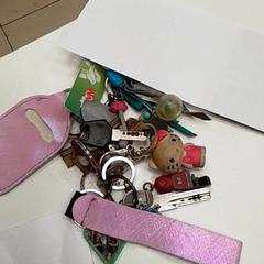 Keychain, as reported by ilévia using iLost