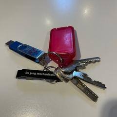 Sleutelbos, zgłoszono przez Gemeente Duiven przy użyciu iLost