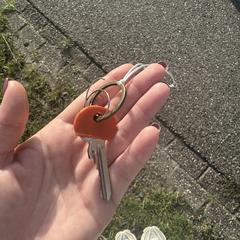 Sleutel, segundo informou a iLost