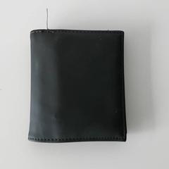 Peňaženka - Wijnands, ako bolo nahlásené Centraal magazijn pomocou iLost