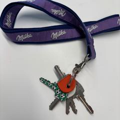 Brelok do kluczy Milka lint, zgłoszono przez Stad Hasselt przy użyciu iLost