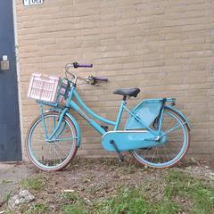 Kinderfiets, som rapporterats till iLost