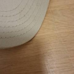 Pet Beige, come riportato da De Tovertuin utilizzando iLost