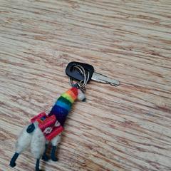 Klíč & Náhrdelník, jak nahlášeno Gemeente Zeist pomocí iLost