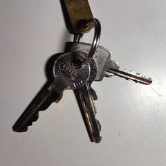 Sleutelbos, segons s'ha informat a iLost