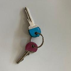 鍵 がiLostで Gemeente Ede によって報告されました