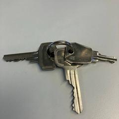 Clau, segons ha informat Gemeente Rijswijk mitjançant iLost