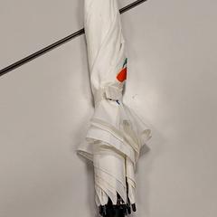 Paraigües, segons ha informat Vrije Universiteit Amsterdam mitjançant iLost