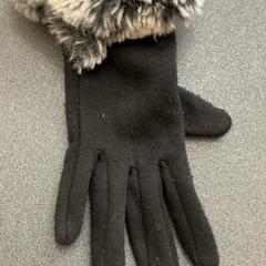 Gant Schwarz mit grauem Kunstfell, a été signalé par Schönbrunn "Group Center" utilisant iLost