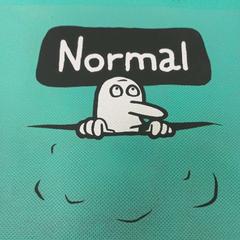 Saco loja normal, som rapportert av IKEA Braga ved bruk av iLost