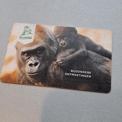 Blijdorp pas, amint azt Madurodam az iLost segítségével jelentette.